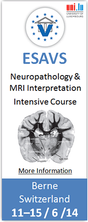 Neuropathology & MRI Interpretation 178.gif
